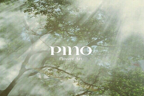 PINO_가로